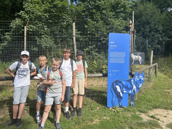 20250624_072829196_iOS